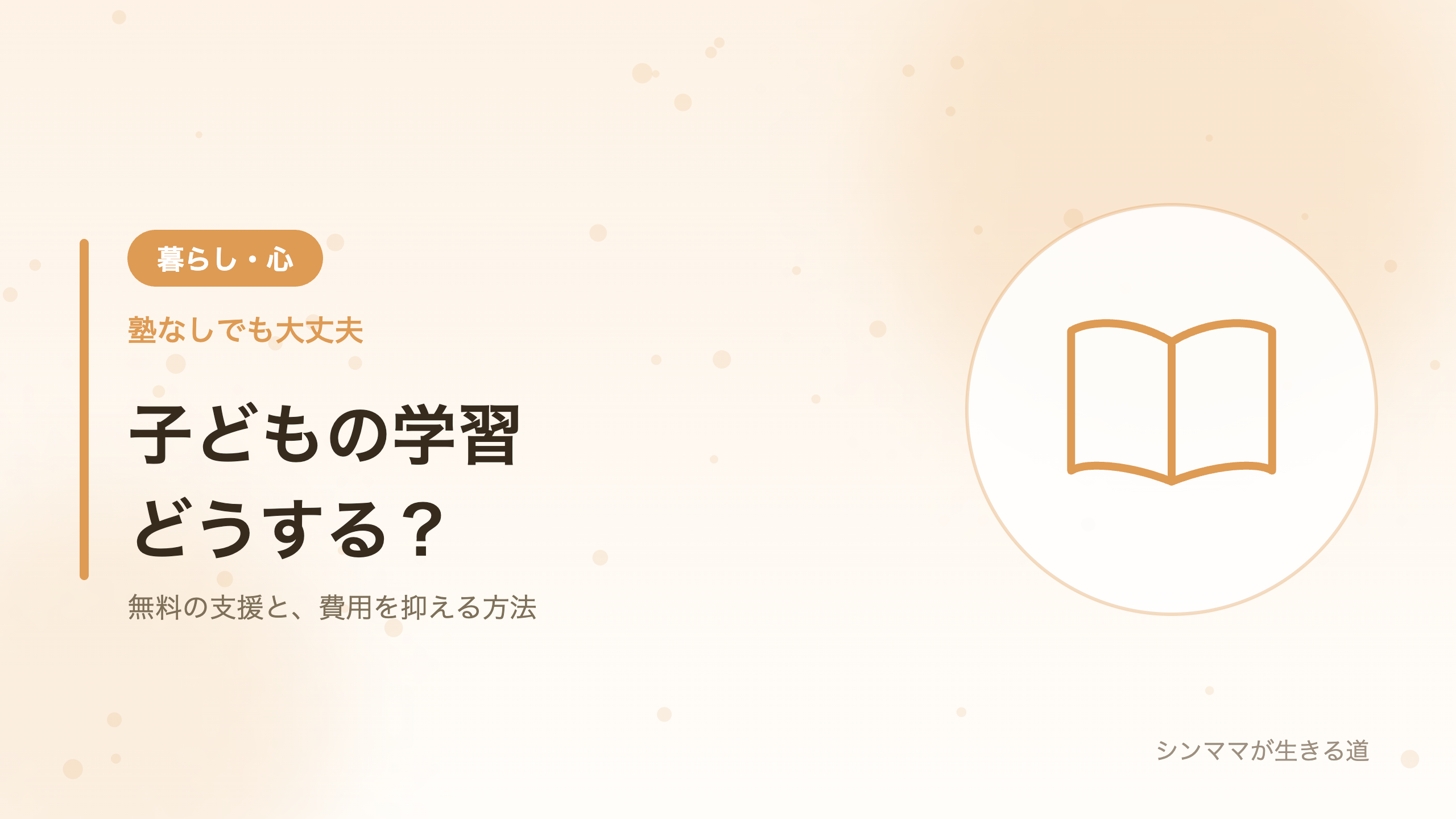 シンママの子どもの学習 塾なしでも大丈夫 無料の支援と費用を抑える方法